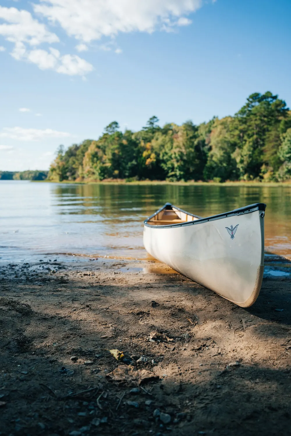 White canoe pulled up on a sandy lakeshore with forest across the calm water