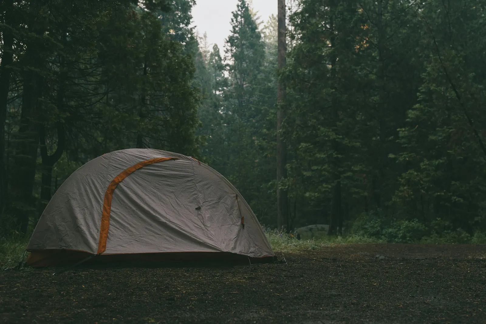Grey dome tent with an orange stripe pitched in a misty, rain-soaked forest