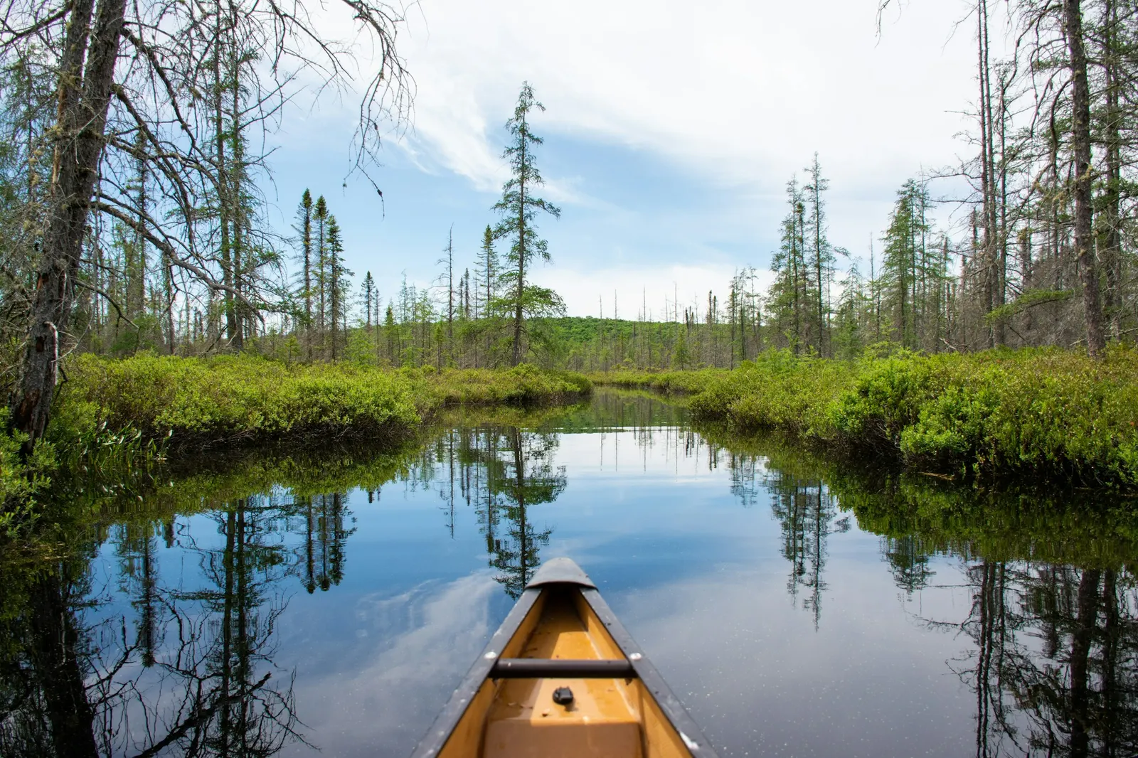 Bow of a canoe on a narrow, tree-lined river channel reflecting the sky