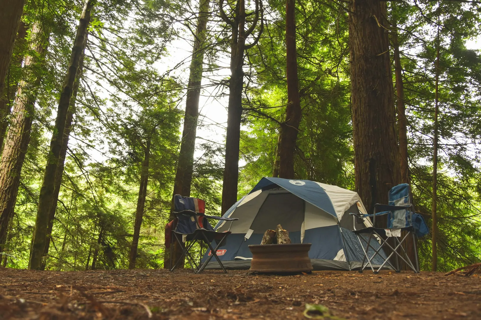 Grey dome tent and two blue camping chairs on a forested drive-in campsite